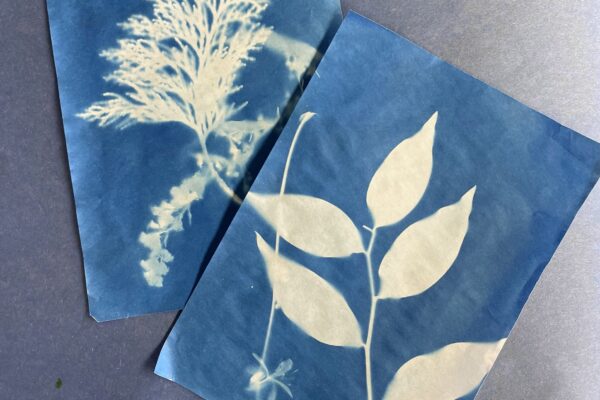 Create art using the sun or make stress-relief crafts