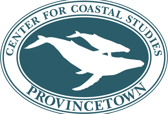 Sailboat race starting in Marblehead will benefit Center for Coastal Studies