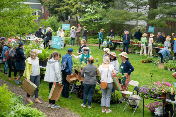 Marblehead Garden Club to host plant sale May 20