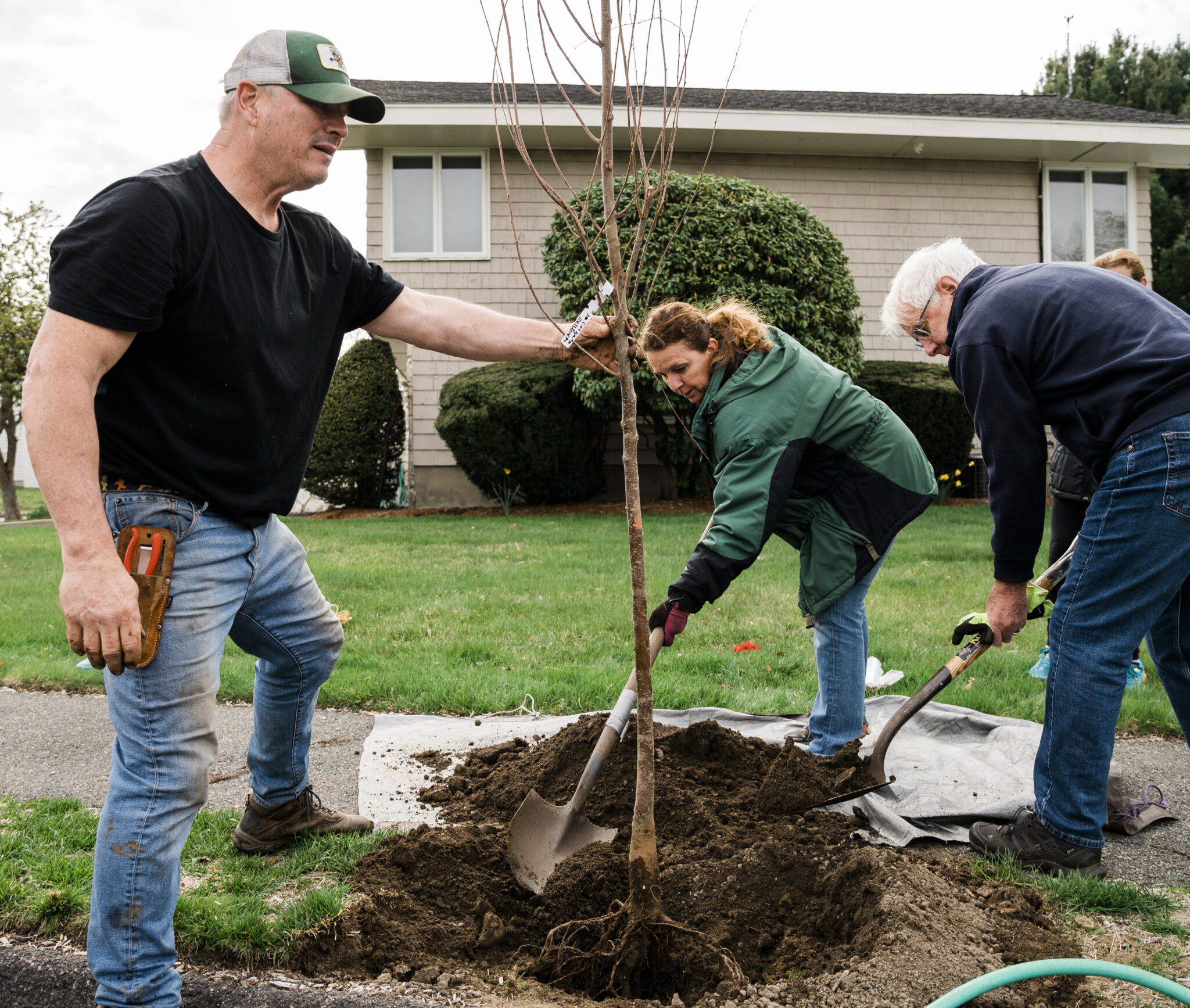 Sustainable Marblehead plants 25 trees - Marblehead Weekly News