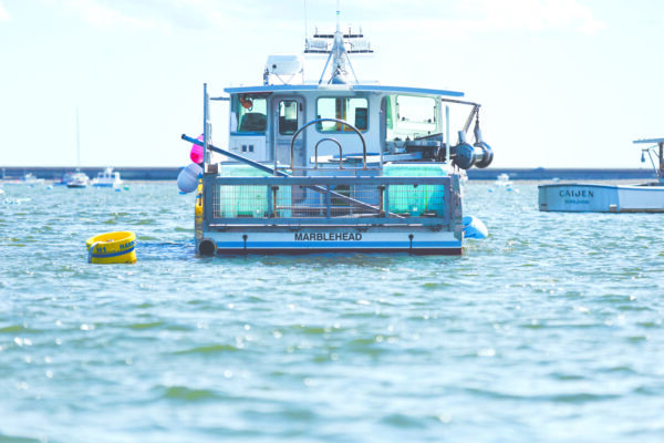Harbors and Waters Board discusses island name change, restroom predicament