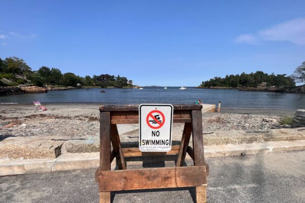 Marblehead Board of Health reflects on brief beach closure
